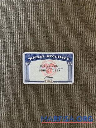 Printable USA SSN photolook textile background sample